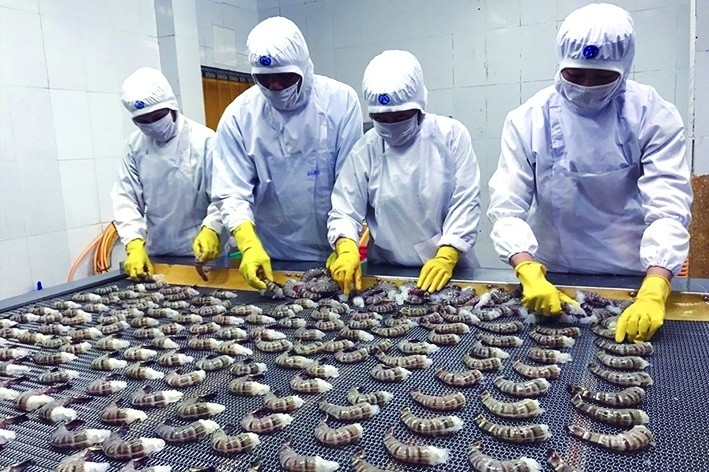 Adaptive capacity helps Vietnamese seafood consolidate its position in the Japanese market