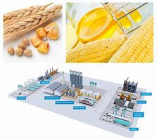 A Japanese Company Seeking Ethanol Production Factory