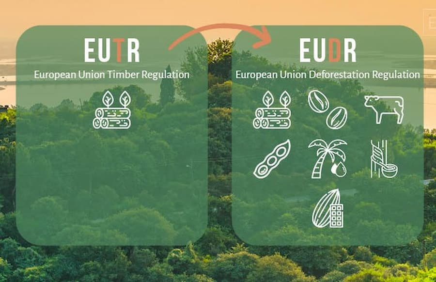 EU Postpones Implementation of the Deforestation Regulation (EUDR) Until the End of 2026