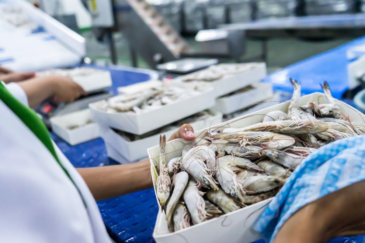 Vietnam's Fisheries Industry Faces New EU Regulations in 2025